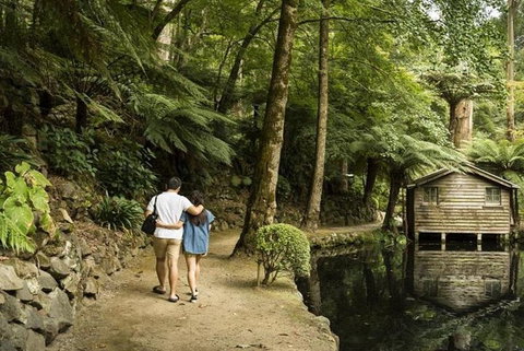 Discover Tour: Dandenong Ranges & William Ricketts Sanctuary - Restaurant Darwin 0