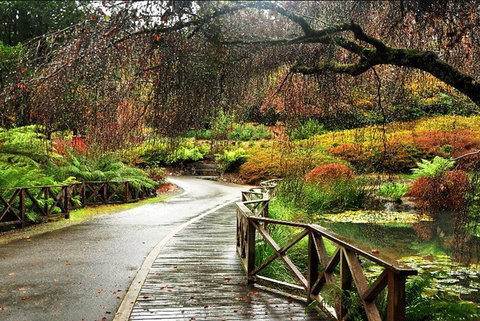 Discover Tour: Dandenong Ranges & William Ricketts Sanctuary - Restaurant Darwin 3