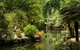 Discover Tour: Dandenong Ranges & William Ricketts Sanctuary - thumb 4