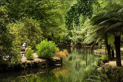 Discover Tour: Dandenong Ranges & William Ricketts Sanctuary - Restaurant Darwin 4