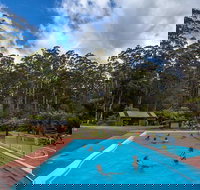 Tahune Airwalk Active Day Trip from Hobart Including Hastings Caves - Restaurant Darwin