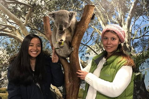 Australia Multi-City Attractions Pass - Restaurant Darwin 3