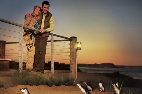 The Ultimate Melbourne Attractions Pass - Restaurant Darwin 3