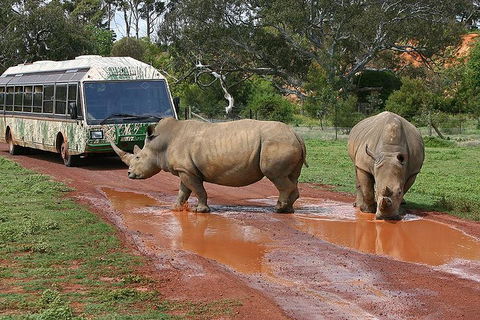 The Ultimate Melbourne Attractions Pass - Restaurant Darwin 4