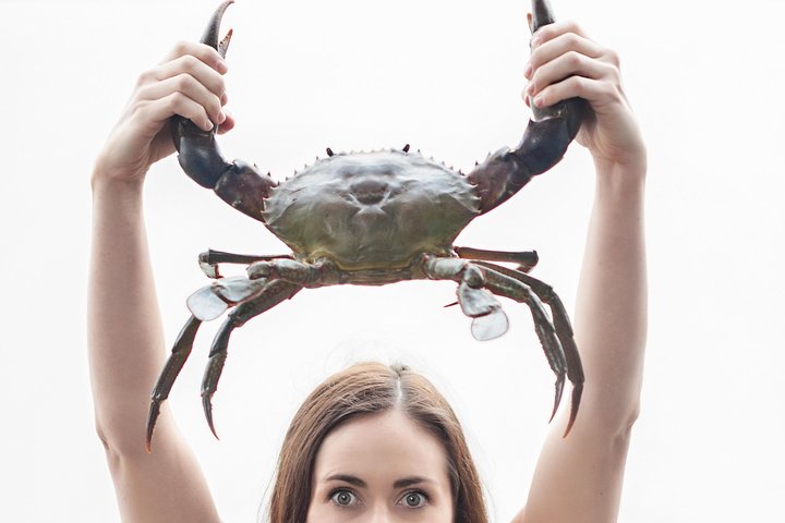 Chevron Island QLD Restaurant Darwin