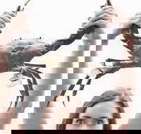 The Ultimate Gold Coast Attractions Pass - Restaurant Darwin