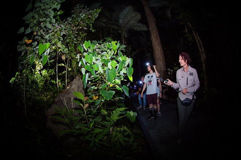 Let's Go Buggin & Let's Go Shroomin - Photography & Nature Walking Tours - Restaurant Darwin 4