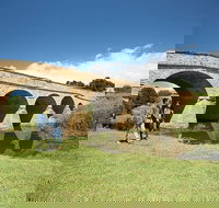 Richmond Historic Afternoon Tour from Hobart - Restaurant Darwin