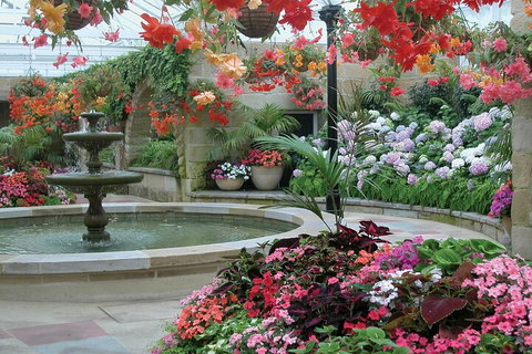 Hobart Half-Day Sightseeing Coach Tram Tour - Restaurant Darwin 3