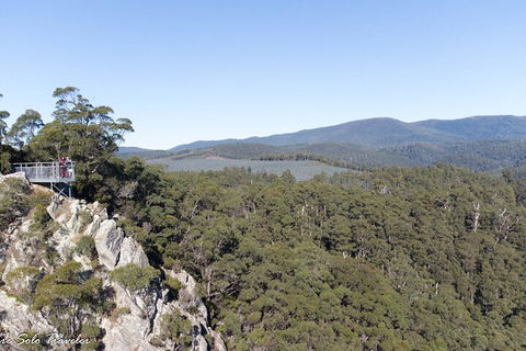 Leven Canyon Day Trip Including Wings Wildlife Park Or Gunns Plains Caves - Restaurant Darwin 2