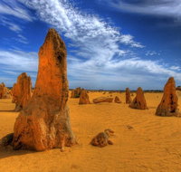 Pinnacles Desert  New Norcia Day Tour from Perth - Restaurant Darwin