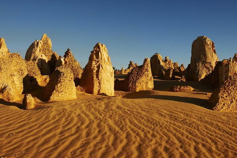 Full Day Pinnacle Desert Explorer From Perth Including Hillarys And Lancelin Sandboarding - Restaurant Darwin 3