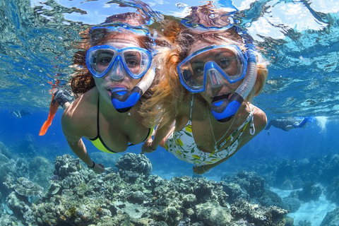 Great Barrier Reef Snorkeling And Diving Cruise From Cairns - Restaurant Darwin 3