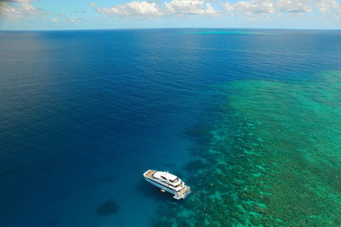 Great Barrier Reef Snorkeling And Diving Cruise From Cairns - Restaurant Darwin 4