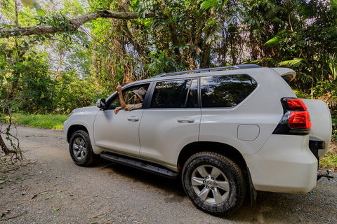 Full Day Cooktown Private Tour - Restaurant Darwin 3