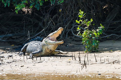 Full Day Cooktown Private Tour - Restaurant Darwin 4