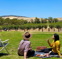 Private Picnic and Wine Tasting Experience in Barossa Valley - Restaurant Darwin