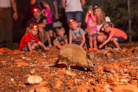 Alice Springs Desert Park Nocturnal Tour - Restaurant Darwin 1