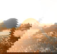 Small Group Mornington Peninsula Hike and Hot Springs Day Tour from Melbourne - Restaurant Darwin