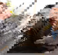 Bonorong Wildlife Park and Richmond Afternoon Tour from Hobart - Restaurant Darwin