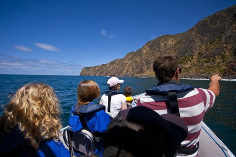 Seal Island Boat Tour From Victor Harbor - Restaurant Darwin 0