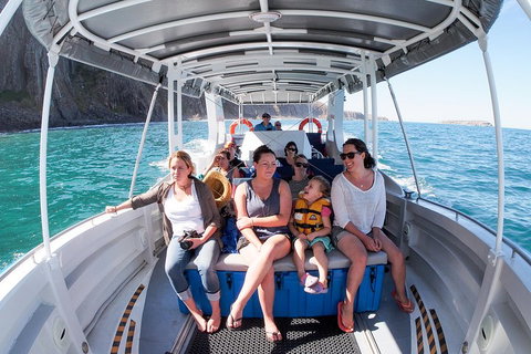 Seal Island Boat Tour From Victor Harbor - Restaurant Darwin 1