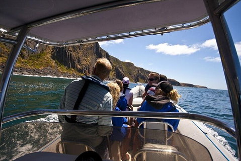 Seal Island Boat Tour From Victor Harbor - Restaurant Darwin 2