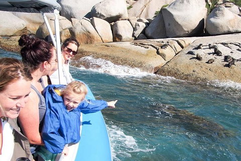 Seal Island Boat Tour From Victor Harbor - Restaurant Darwin 4