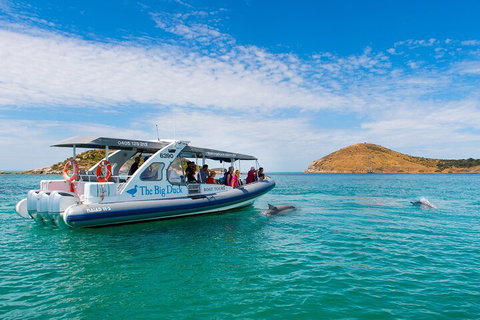 Southern Ocean Adventure From Victor Harbor - Restaurant Darwin 1