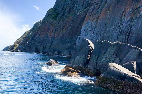 Southern Ocean Adventure From Victor Harbor - Restaurant Darwin 3