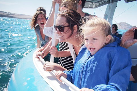 Southern Ocean Adventure From Victor Harbor - Restaurant Darwin 4