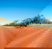 9-Day Kimberley Offroad Adventure from Broome to Darwin - Restaurant Darwin