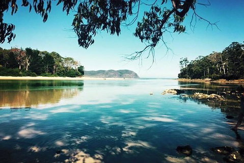 Full-Day Guided Bruny Island Tour From Hobart - Restaurant Darwin 1