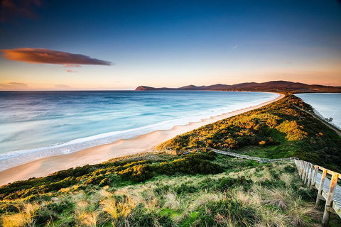Full-Day Guided Bruny Island Tour From Hobart - Restaurant Darwin 2