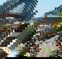 Big Bus Sydney and Bondi Hop-on Hop-off Tour - Restaurant Darwin