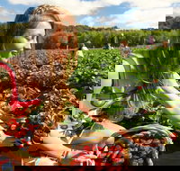 Mornington Peninsula Day Trip from Melbourne - Restaurant Darwin