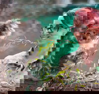 Small-Group Phillip Island Penguin Parade Day Tour from Melbourne - Restaurant Darwin