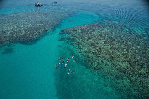 Ocean Freedom Great Barrier Reef Personal Luxury Snorkel & Dive Cruise, Cairns - Restaurant Darwin 3