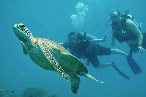 Ocean Freedom Great Barrier Reef Personal Luxury Snorkel & Dive Cruise, Cairns - Restaurant Darwin 4