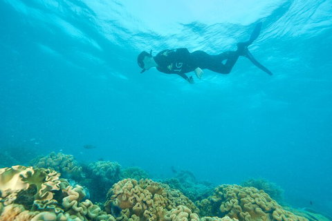 Ocean Freedom Great Barrier Reef Personal Luxury Snorkel & Dive Cruise, Cairns - Restaurant Darwin 5