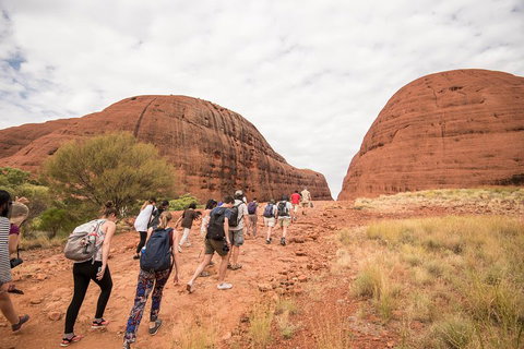 6 Day Red Centre Explorer With Accommodation - Restaurant Darwin 3