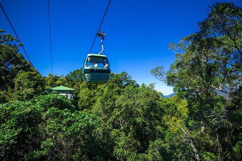 Classic Kuranda By Skyrail And Scenic Railway Including Rainforestation, Koala And Wildlife Park And Pamagirri Aboriginal Experi - Restaurant Darwin 0