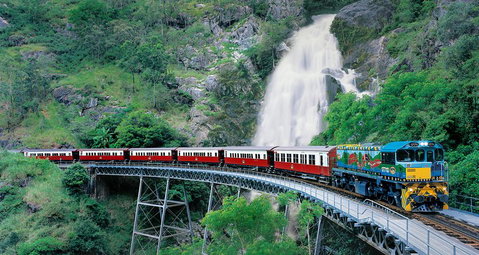 Classic Kuranda By Skyrail And Scenic Railway Including Rainforestation, Koala And Wildlife Park And Pamagirri Aboriginal Experi - Restaurant Darwin 1
