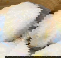 Melbourne Foodie Culture - Restaurant Darwin