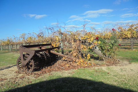 Swan Valley Tour From Perth: Wine, Beer And Chocolate Tastings - Restaurant Darwin 3