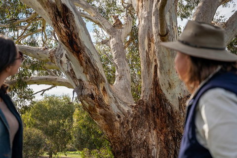NEW TOUR - Kangaroo Island Road To Recovery Tour (1 Day/1 Night) - Restaurant Darwin 0