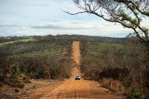NEW TOUR - Kangaroo Island Road To Recovery Tour (1 Day/1 Night) - Restaurant Darwin 2