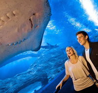 Dive with Sharks at AQWA - Restaurant Darwin