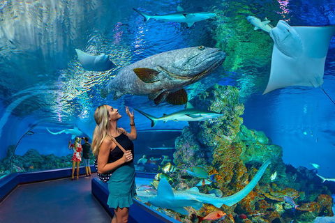 Cairns Aquarium Admission Ticket - Restaurant Darwin 3