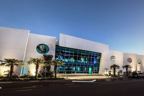 Cairns Aquarium Admission Ticket - Restaurant Darwin 4